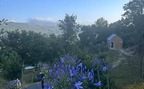 Monkey Tiny Barnhouse With Amazing Views!