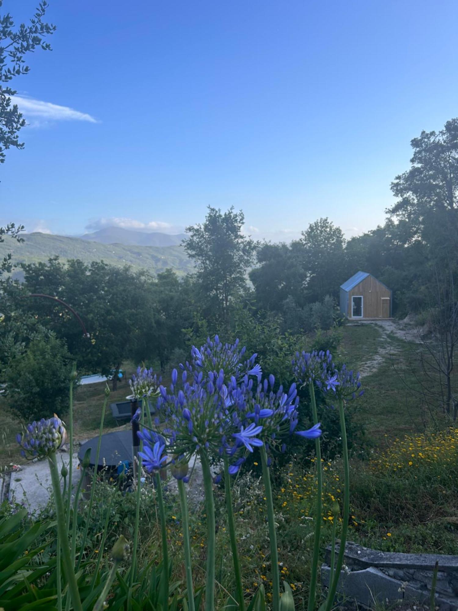 Monkey Tiny Barnhouse With Amazing Views! Vila Folhadosa Exterior foto