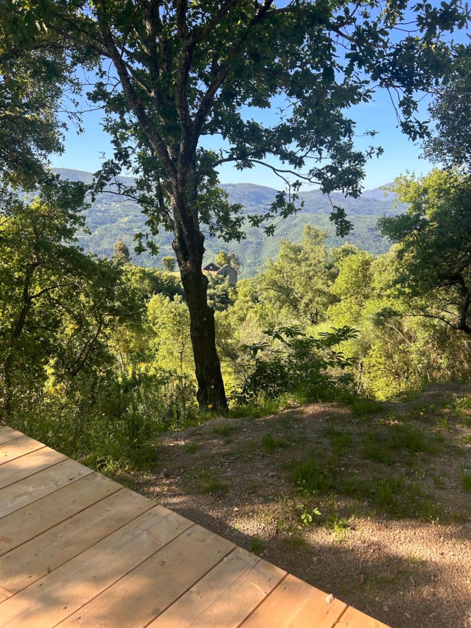 Monkey Tiny Barnhouse With Amazing Views! Vila Folhadosa Exterior foto