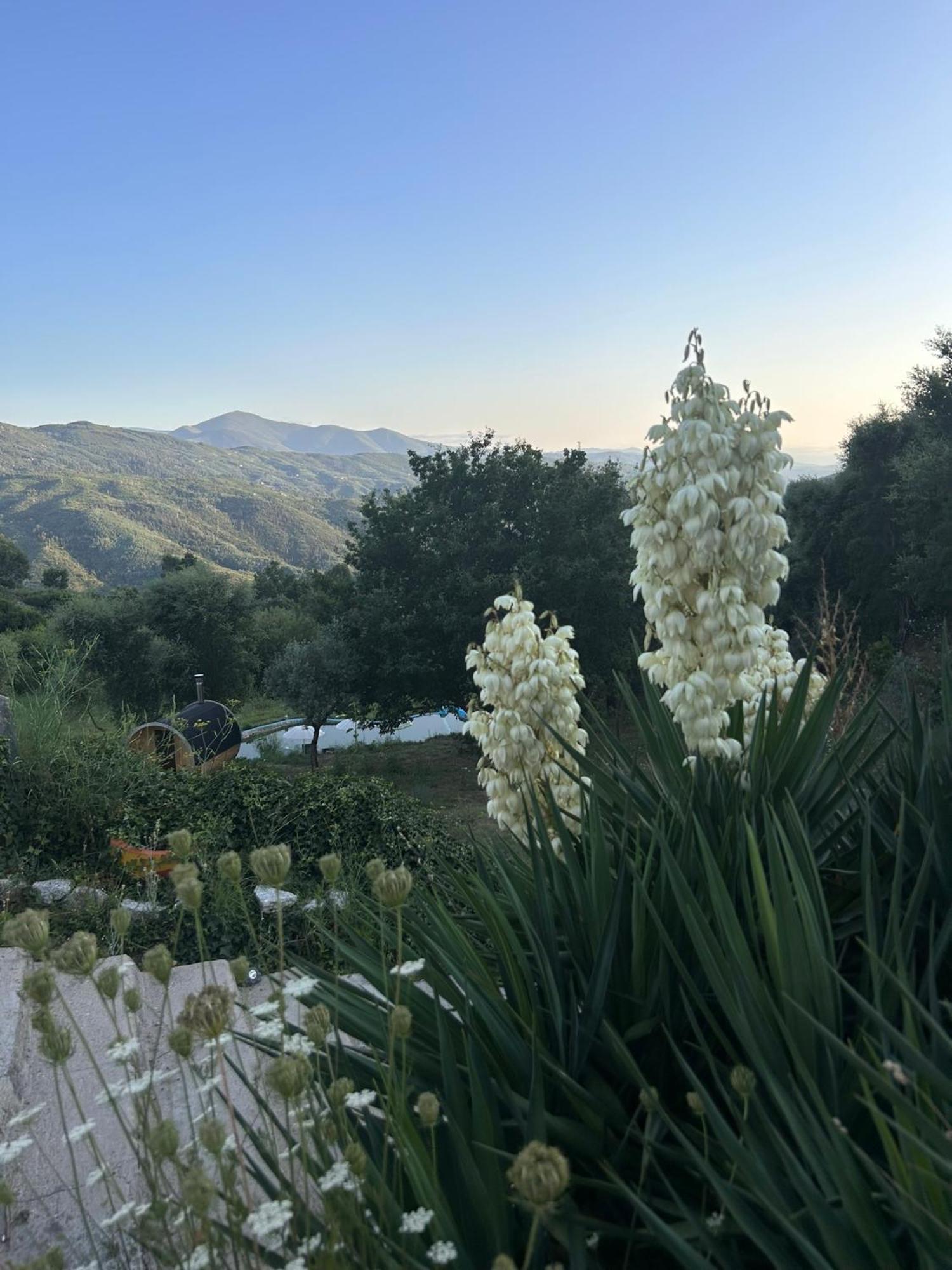 Monkey Tiny Barnhouse With Amazing Views! Vila Folhadosa Exterior foto