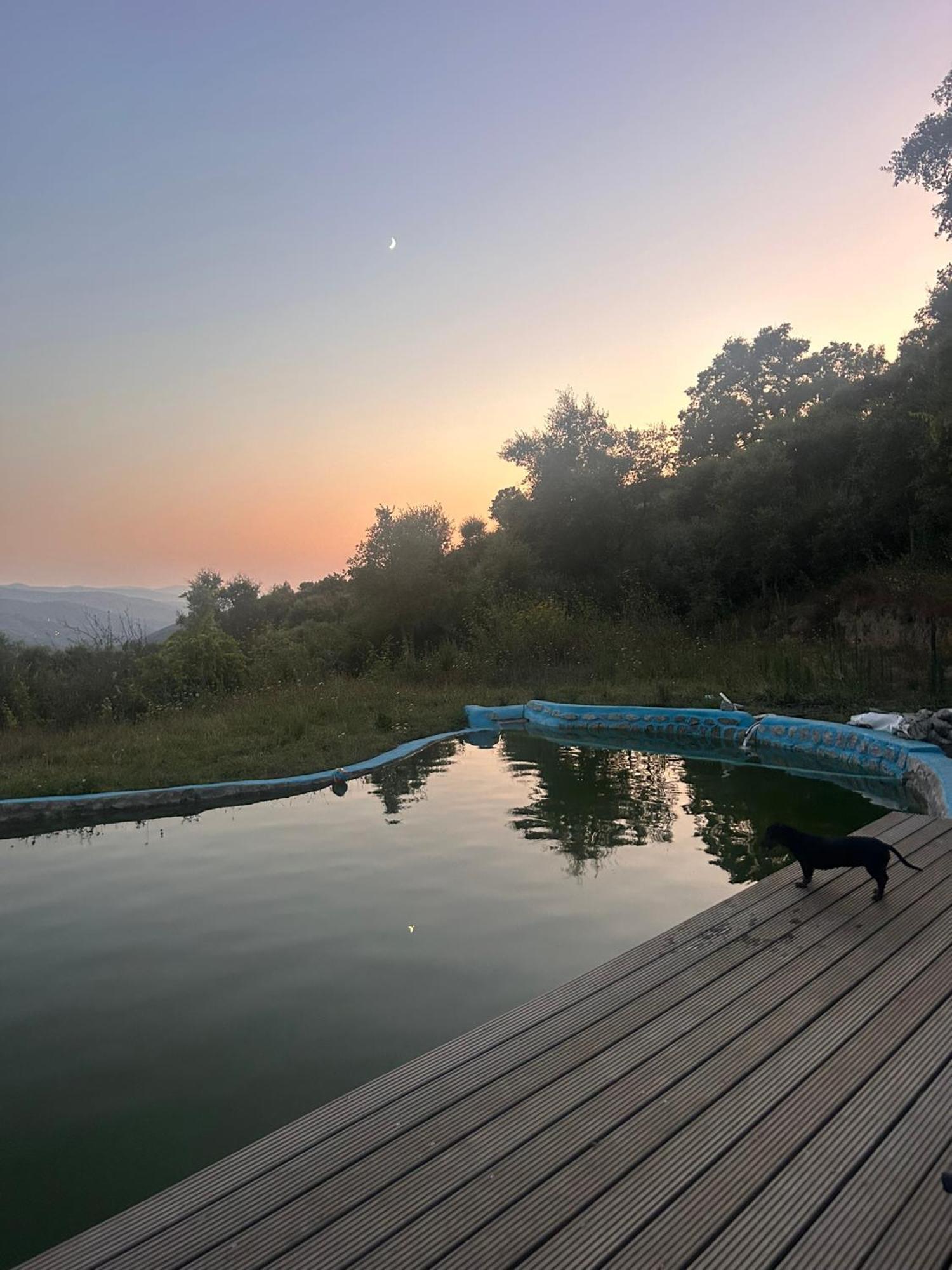Monkey Tiny Barnhouse With Amazing Views! Vila Folhadosa Exterior foto