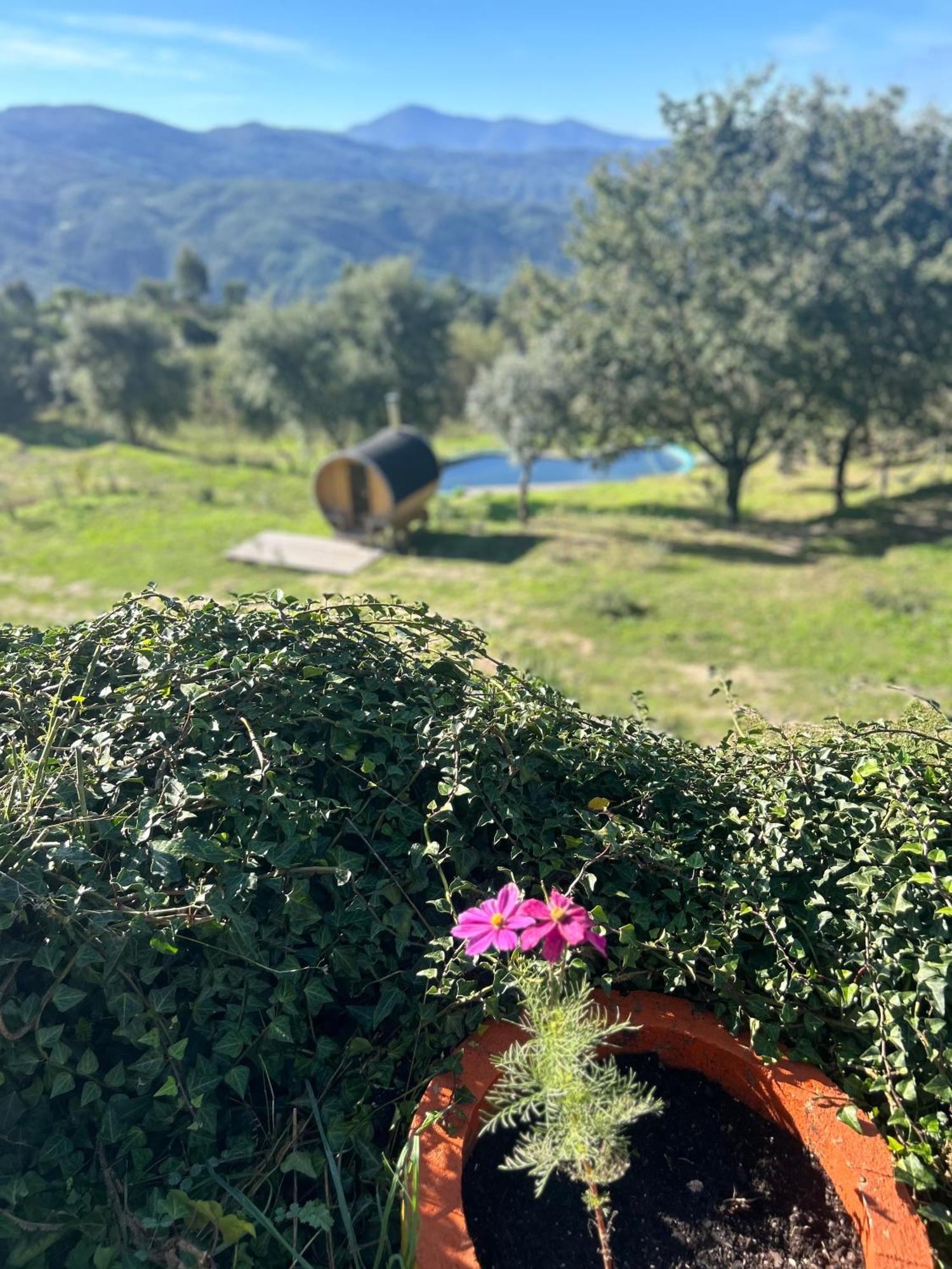 Monkey Tiny Barnhouse With Amazing Views! Vila Folhadosa Exterior foto